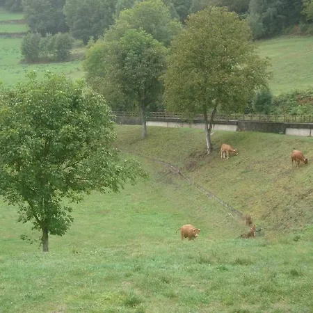 Holiday home Les Coquelicots